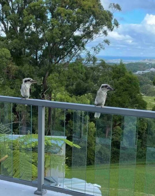 Ocean View Oasis, Coffs Harbour Apartment Bagian luar foto